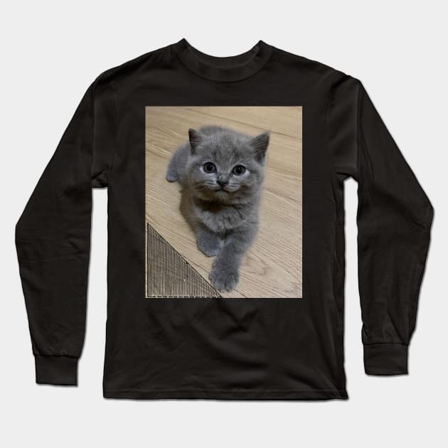 the blue cute cats Long Sleeve T-Shirt by kunasin